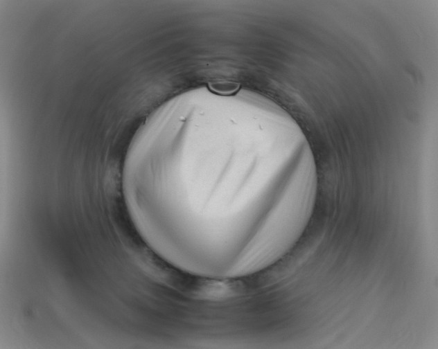 X0000113330083200910051155