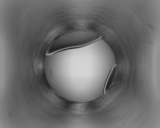 X0000113330084200910051155