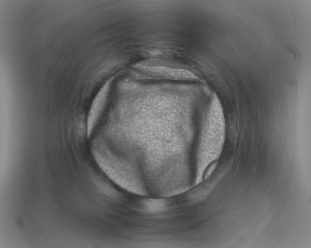 X0000113330085200910051155