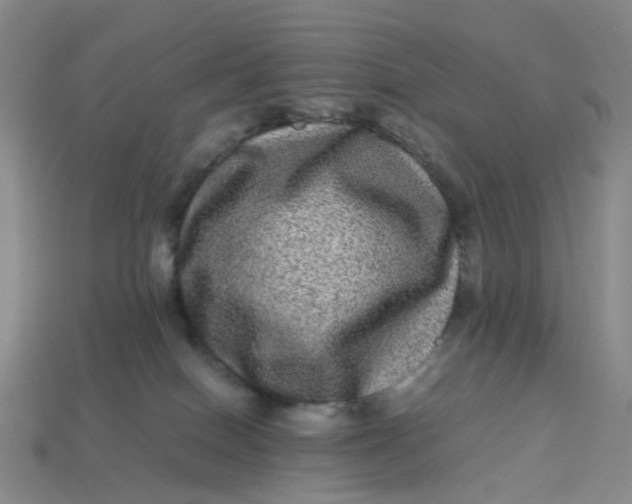 X0000113330086200910051155