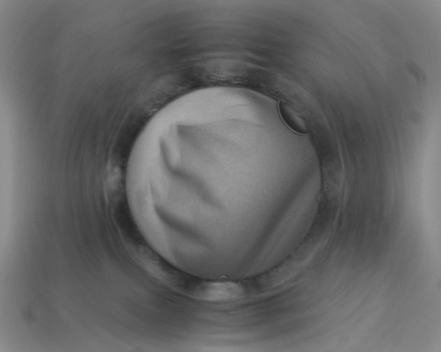 X0000113330087200910051155