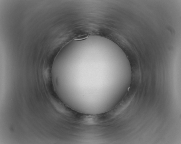 X0000113330088200910051155