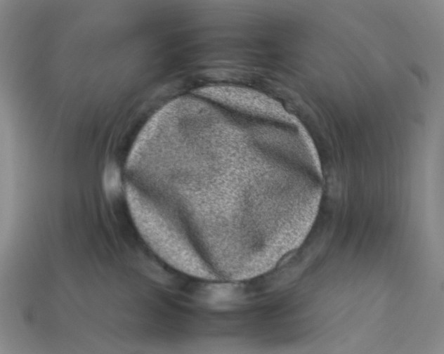 X0000113330089200910051155