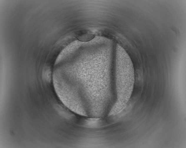 X0000113330090200910051155