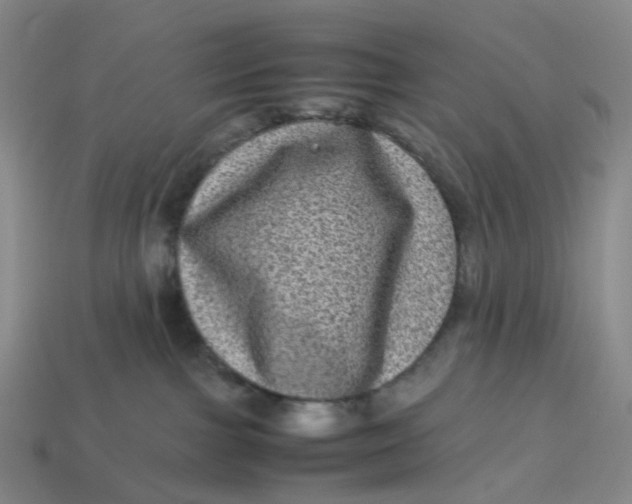X0000113330091200910051155