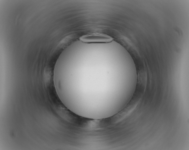 X0000113330092200910051155
