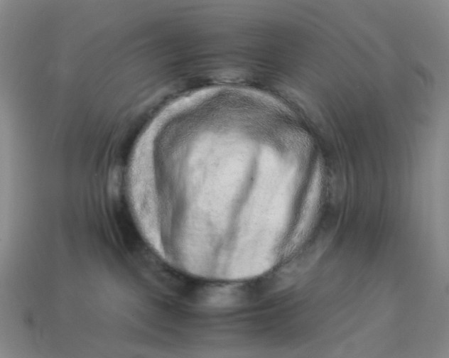 X0000113330093200910051155