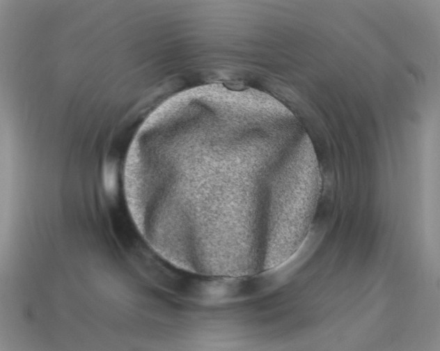 X0000113330094200910051155