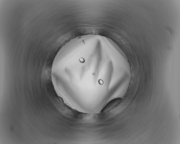 X0000113330096200910051155