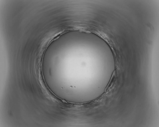 X0000113330097200910051154