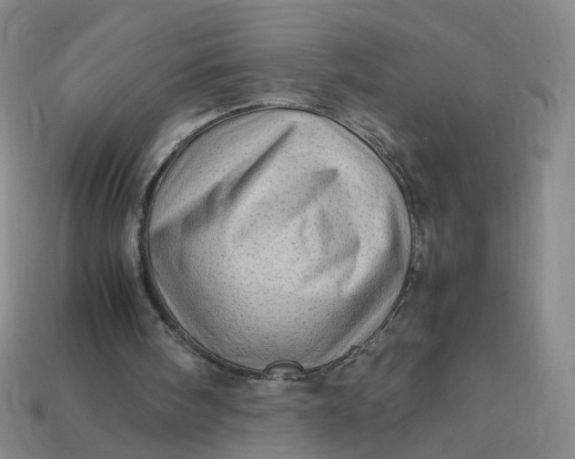 X0000113330098200910051154