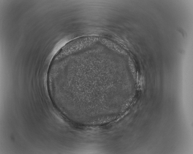 X0000113330099200910051154