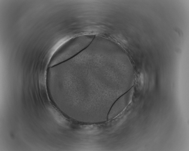 X0000113330100200910051154