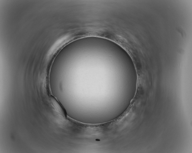 X0000113330101200910051154