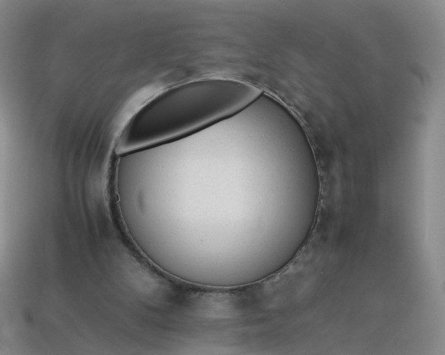 X0000113330104200910051154