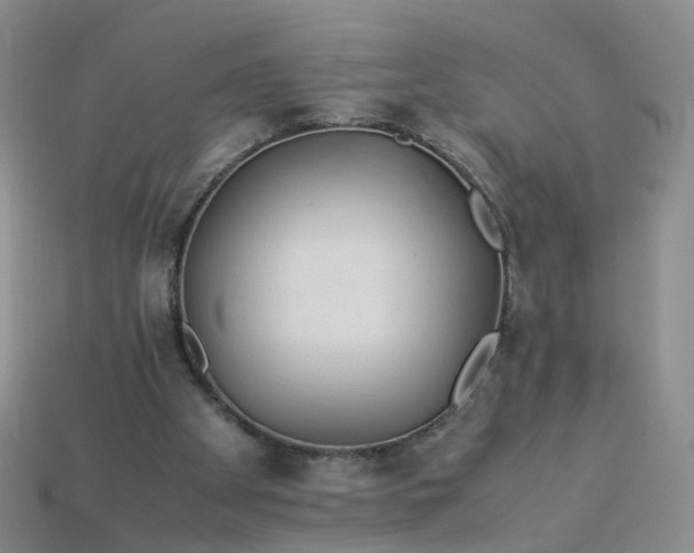 X0000113330105200910051154