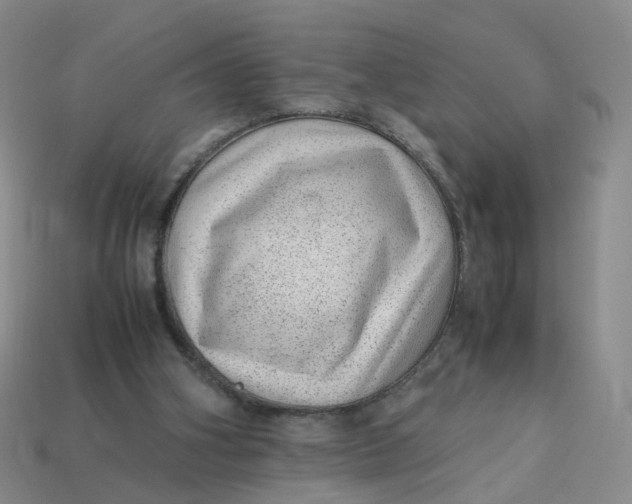 X0000113330106200910051154