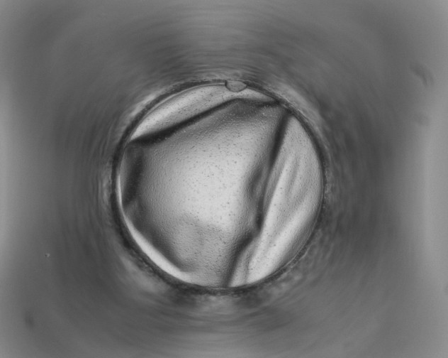 X0000113330107200910051154