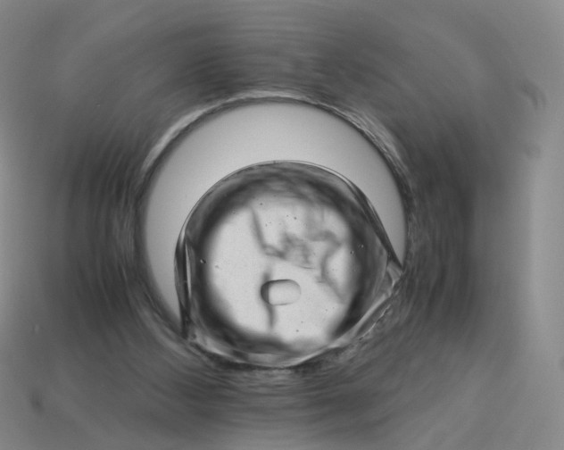X0000113330108200910051154