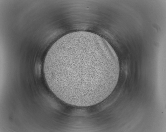 X0000113330110200910051154