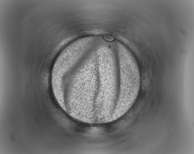 X0000113330111200910051154
