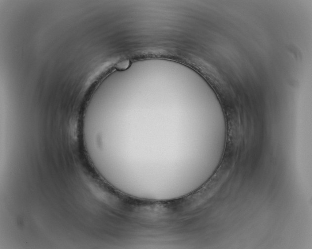 X0000113330112200910051154