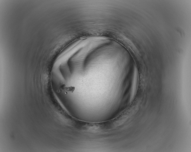 X0000113330113200910051154