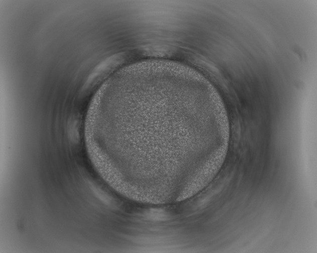 X0000113330114200910051154