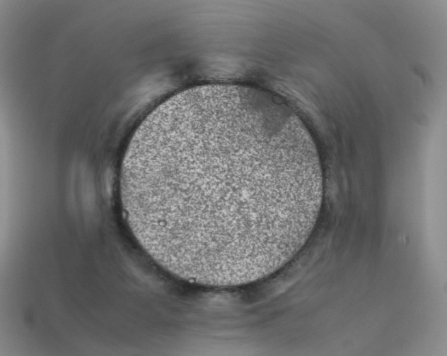 X0000113330115200910051154