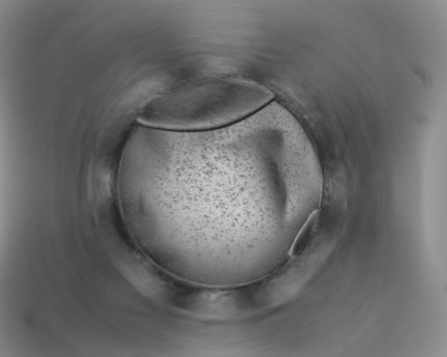 X0000113330117200910051154