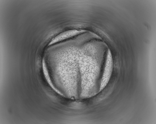 X0000113330119200910051154
