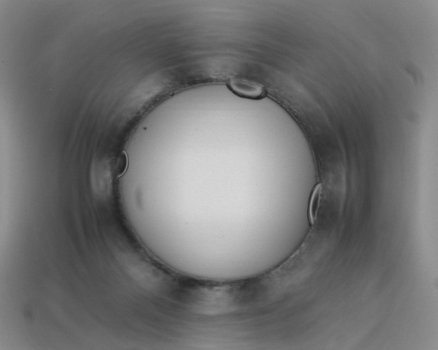 X0000113330120200910051154