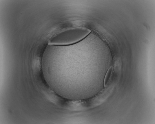 X0000113330121200910051154