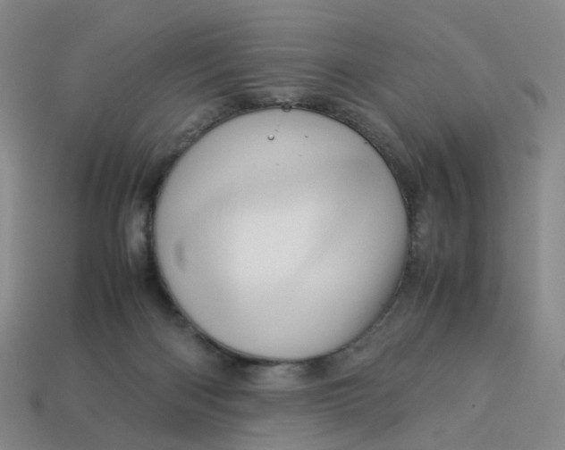 X0000113330122200910051154