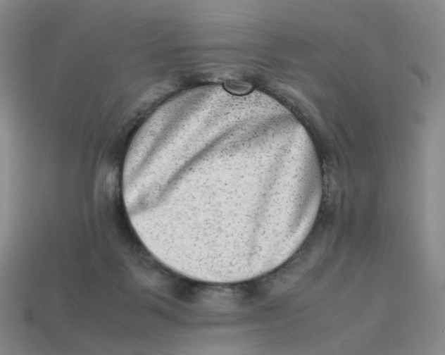 X0000113330123200910051154