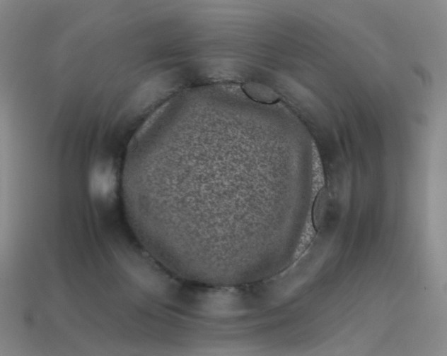 X0000113330124200910051154