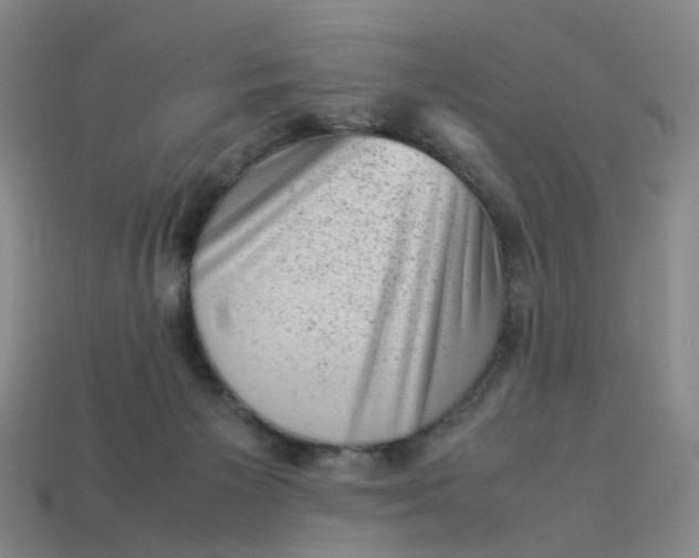 X0000113330125200910051154