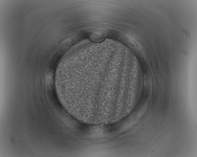 X0000113330127200910051154