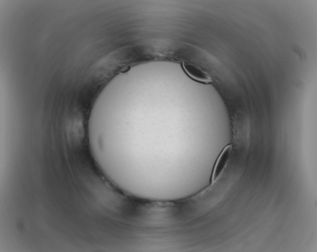 X0000113330128200910051154
