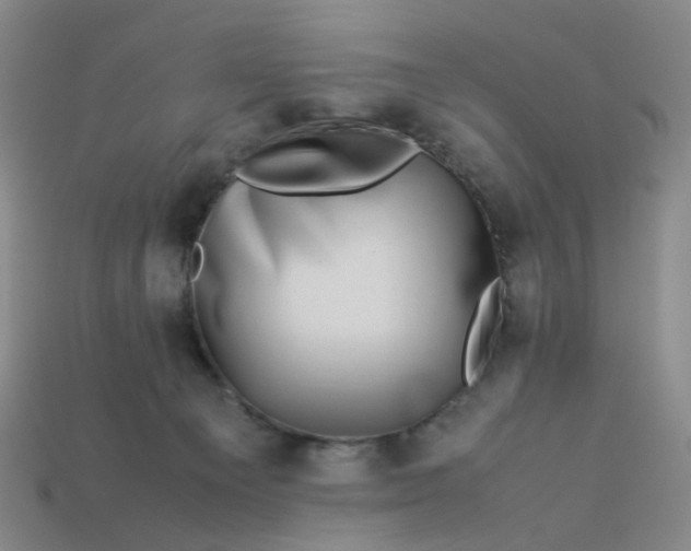 X0000113330129200910051154