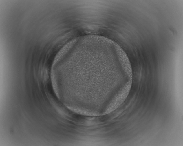 X0000113330130200910051154