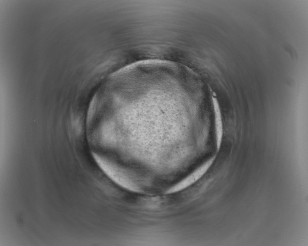 X0000113330131200910051154