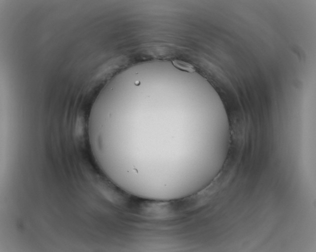 X0000113330132200910051154