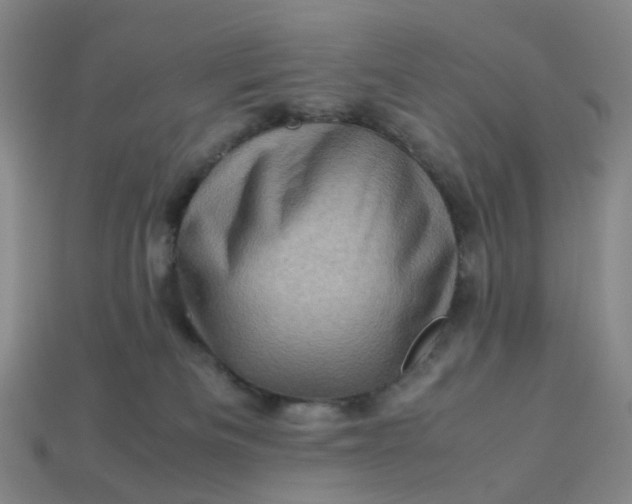 X0000113330133200910051154