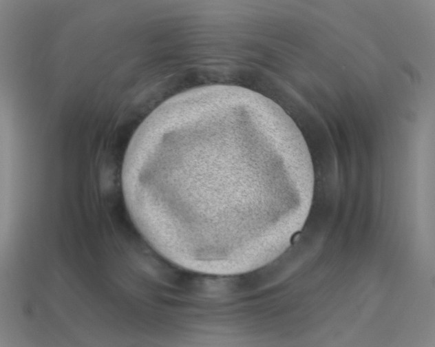 X0000113330134200910051154