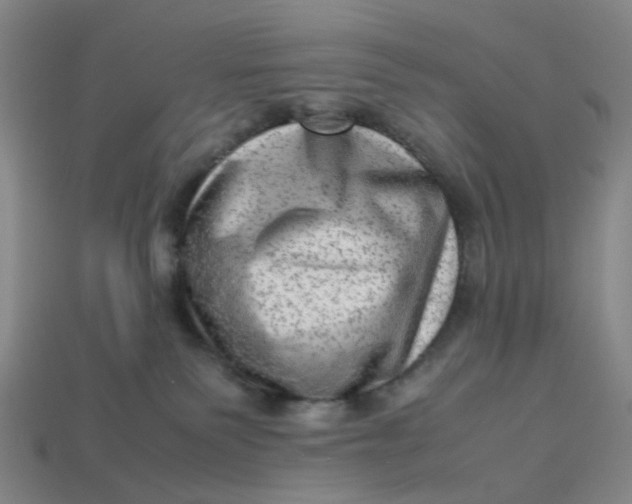 X0000113330135200910051154