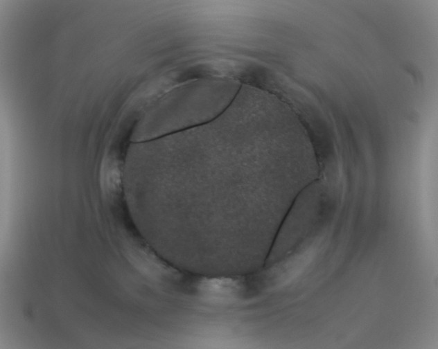 X0000113330137200910051154