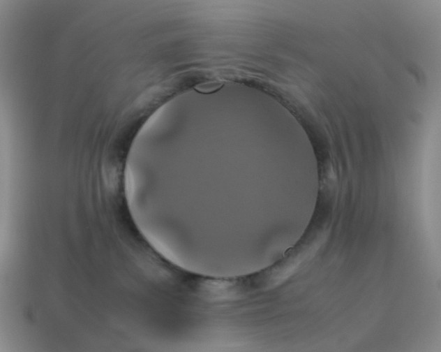 X0000113330139200910051154
