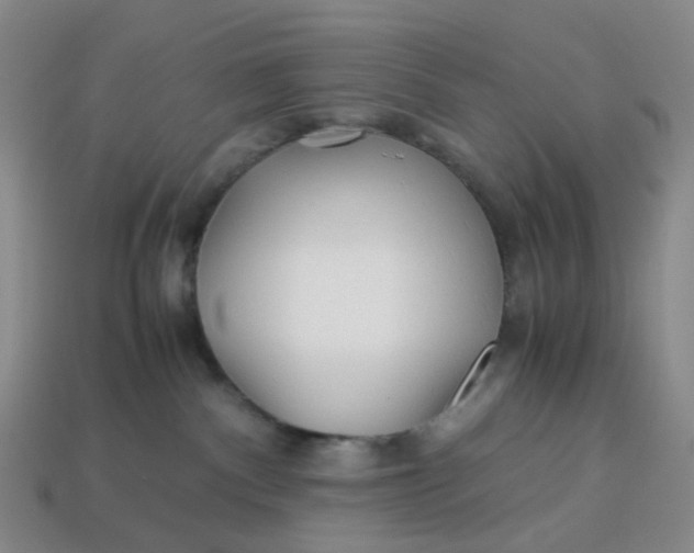 X0000113330140200910051154
