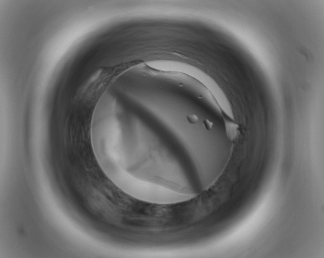 X0000113330143200910051154
